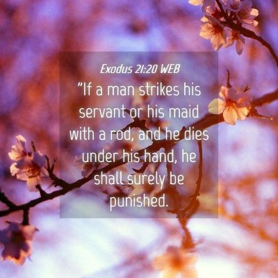 Picture 04 - Exodus 21:20 WEB - 