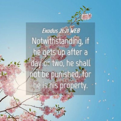 Picture 04 - Exodus 21:21 WEB - Notwithstanding, if he gets up after a day or - Bible Verse Picture