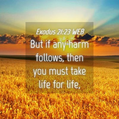 Picture 04 - Exodus 21:23 WEB - But if any harm follows, then you must take life - Bible Verse Picture