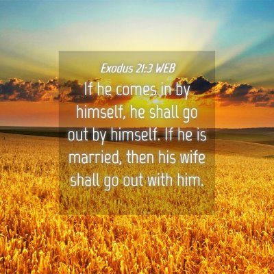 Picture 04 - Exodus 21:3 WEB - If he comes in by himself, he shall go out by - Bible Verse Picture