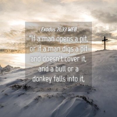 Picture 04 - Exodus 21:33 WEB - 