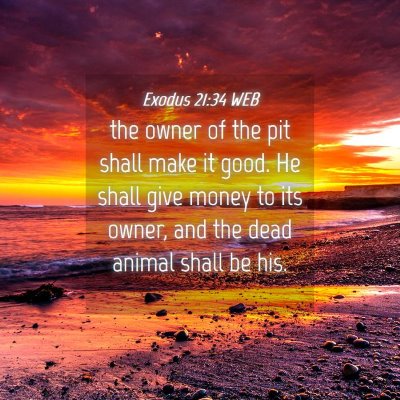 Picture 04 - Exodus 21:34 WEB - the owner of the pit shall make it good. He shall - Bible Verse Picture