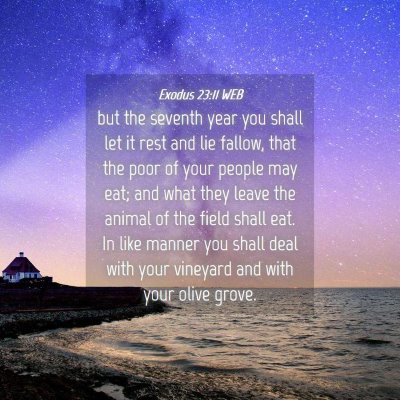 Picture 04 - Exodus 23:11 WEB - but the seventh year you shall let it rest and - Bible Verse Picture