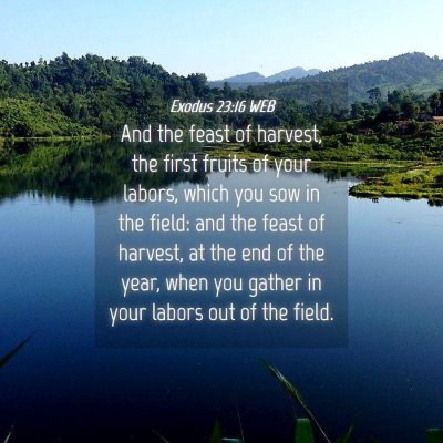 Picture 04 - Exodus 23:16 WEB - And the feast of harvest, the first fruits of - Bible Verse Picture