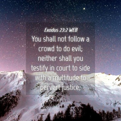 Picture 04 - Exodus 23:2 WEB - You shall not follow a crowd to do evil; neither - Bible Verse Picture