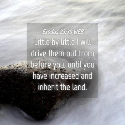 Picture 04 - Exodus 23:30 WEB - Little by little I will drive them out from - Bible Verse Picture