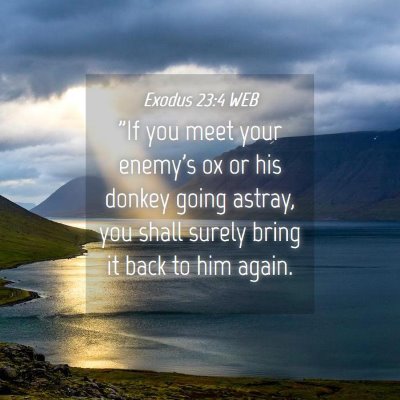 Picture 04 - Exodus 23:4 WEB - 