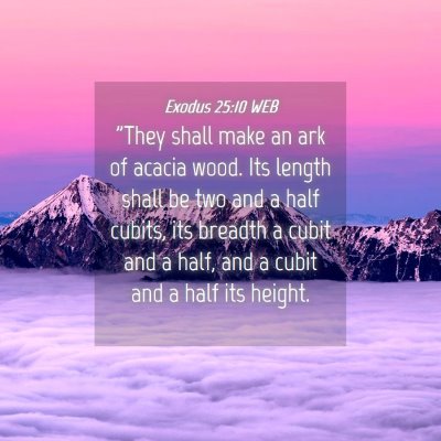 Picture 04 - Exodus 25:10 WEB - 