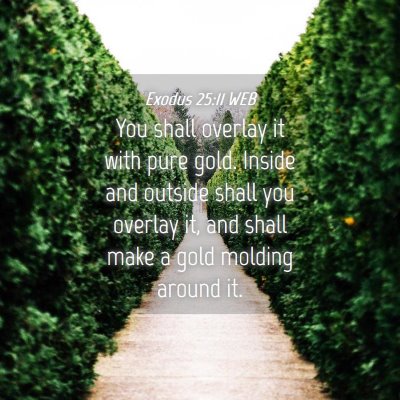 Picture 04 - Exodus 25:11 WEB - You shall overlay it with pure gold. Inside and - Bible Verse Picture