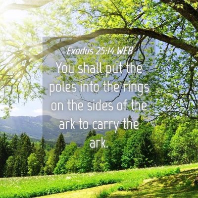 Picture 04 - Exodus 25:14 WEB - You shall put the poles into the rings on the - Bible Verse Picture
