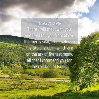 Picture 04 - Exodus 25:22 WEB - There I will meet with you, and I will tell you - Bible Verse Picture