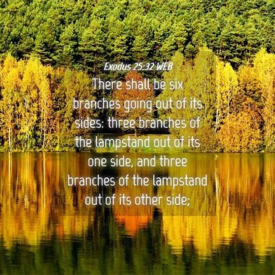 Picture 04 - Exodus 25:32 WEB - There shall be six branches going out of its - Bible Verse Picture