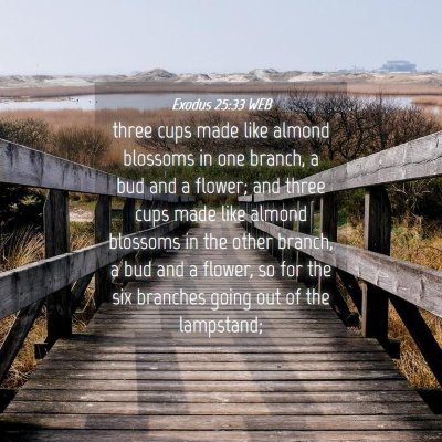 Picture 04 - Exodus 25:33 WEB - three cups made like almond blossoms in one - Bible Verse Picture