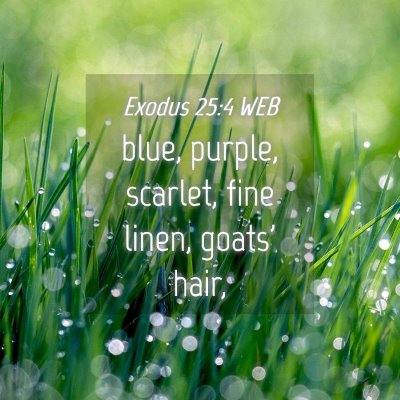 Picture 04 - Exodus 25:4 WEB - blue, purple, scarlet, fine linen, goats' - Bible Verse Picture