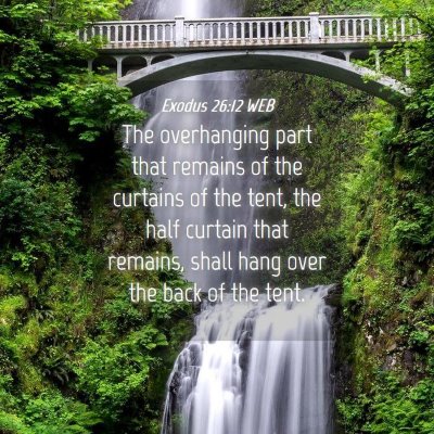 Picture 04 - Exodus 26:12 WEB - The overhanging part that remains of the curtains - Bible Verse Picture