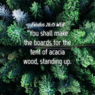 Picture 04 - Exodus 26:15 WEB - 