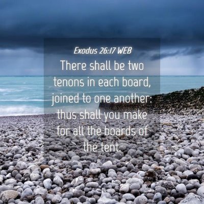 Picture 04 - Exodus 26:17 WEB - There shall be two tenons in each board, joined - Bible Verse Picture