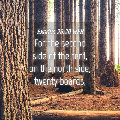 Picture 04 - Exodus 26:20 WEB - For the second side of the tent, on the north - Bible Verse Picture
