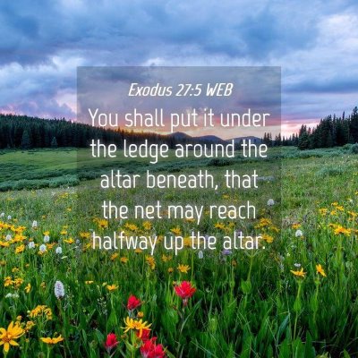 Picture 04 - Exodus 27:5 WEB - You shall put it under the ledge around the altar - Bible Verse Picture