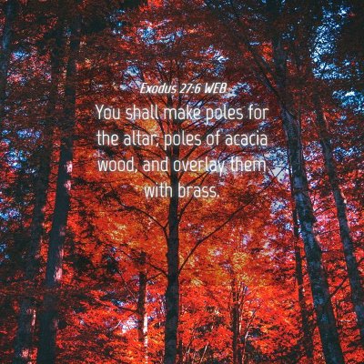 Picture 04 - Exodus 27:6 WEB - You shall make poles for the altar, poles of - Bible Verse Picture