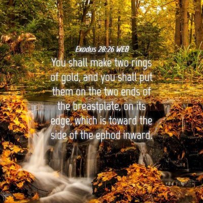 Picture 04 - Exodus 28:26 WEB - You shall make two rings of gold, and you shall - Bible Verse Picture
