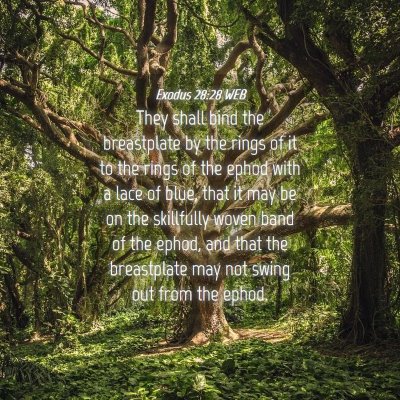 Picture 04 - Exodus 28:28 WEB - They shall bind the breastplate by the rings of - Bible Verse Picture