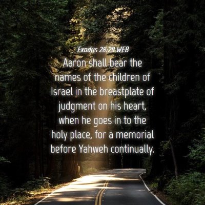Picture 04 - Exodus 28:29 WEB - Aaron shall bear the names of the children of - Bible Verse Picture