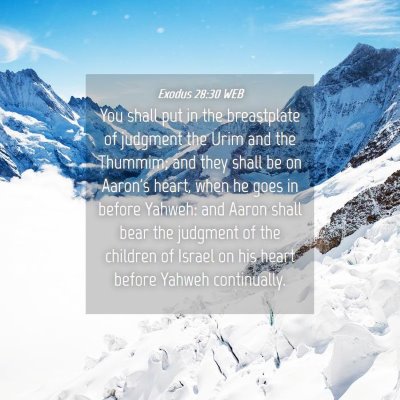 Picture 04 - Exodus 28:30 WEB - You shall put in the breastplate of judgment the - Bible Verse Picture