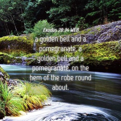 Picture 04 - Exodus 28:34 WEB - a golden bell and a pomegranate, a golden bell - Bible Verse Picture