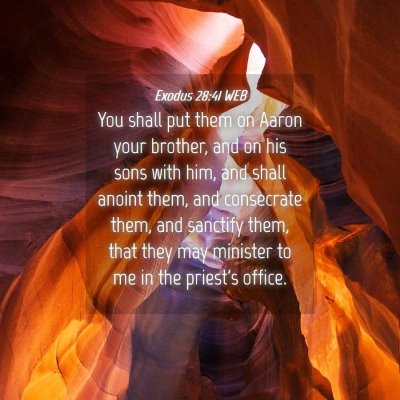 Picture 04 - Exodus 28:41 WEB - You shall put them on Aaron your brother, and on - Bible Verse Picture