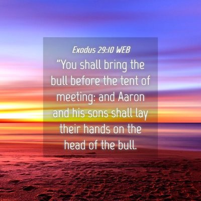 Picture 04 - Exodus 29:10 WEB - 