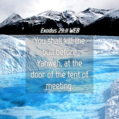 Picture 04 - Exodus 29:11 WEB - You shall kill the bull before Yahweh, at the - Bible Verse Picture
