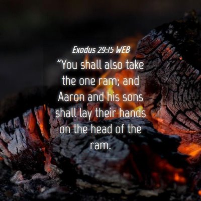 Picture 04 - Exodus 29:15 WEB - 
