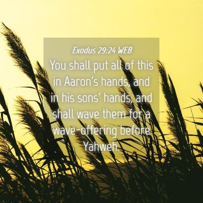 Picture 04 - Exodus 29:24 WEB - You shall put all of this in Aaron's hands, and - Bible Verse Picture