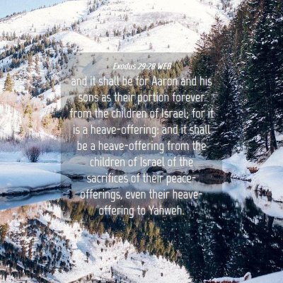 Picture 04 - Exodus 29:28 WEB - and it shall be for Aaron and his sons as their - Bible Verse Picture