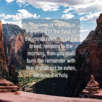 Picture 04 - Exodus 29:34 WEB - If anything of the flesh of the consecration, or - Bible Verse Picture
