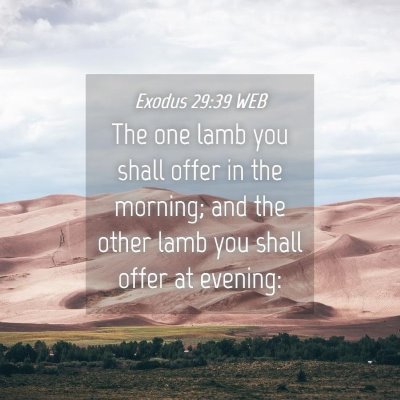 Picture 04 - Exodus 29:39 WEB - The one lamb you shall offer in the morning; and - Bible Verse Picture
