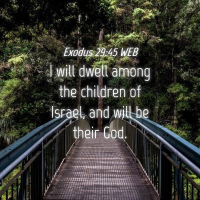 Picture 04 - Exodus 29:45 WEB - I will dwell among the children of Israel, and - Bible Verse Picture