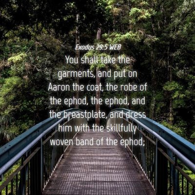 Picture 04 - Exodus 29:5 WEB - You shall take the garments, and put on Aaron the - Bible Verse Picture