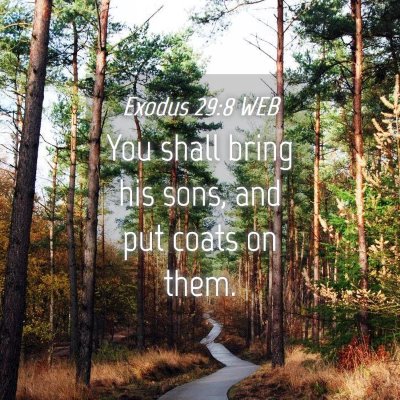 Picture 04 - Exodus 29:8 WEB - You shall bring his sons, and put coats on - Bible Verse Picture