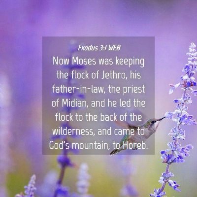 Picture 04 - Exodus 3:1 WEB - Now Moses was keeping the flock of Jethro, his - Bible Verse Picture