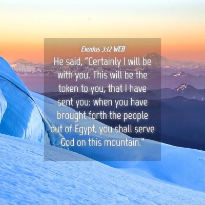 Picture 04 - Exodus 3:12 WEB - He said, 