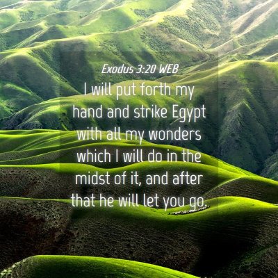 Picture 04 - Exodus 3:20 WEB - I will put forth my hand and strike Egypt with - Bible Verse Picture