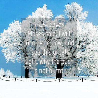 Picture 04 - Exodus 3:3 WEB - Moses said, I will turn aside now, and see this - Bible Verse Picture