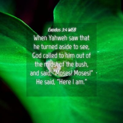 Picture 04 - Exodus 3:4 WEB - When Yahweh saw that he turned aside to see, God - Bible Verse Picture
