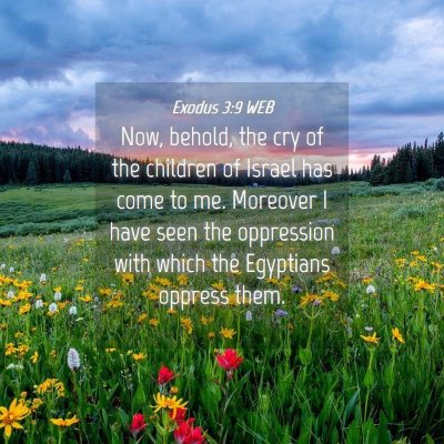Picture 04 - Exodus 3:9 WEB - Now, behold, the cry of the children of Israel - Bible Verse Picture