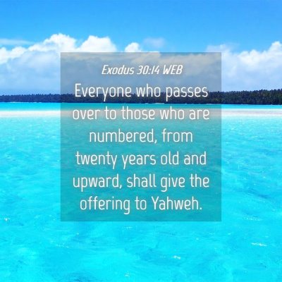Picture 04 - Exodus 30:14 WEB - Everyone who passes over to those who are - Bible Verse Picture