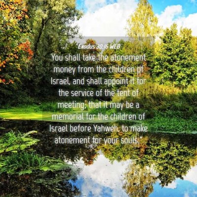 Picture 04 - Exodus 30:16 WEB - You shall take the atonement money from the - Bible Verse Picture