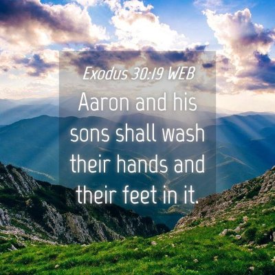 Picture 04 - Exodus 30:19 WEB - Aaron and his sons shall wash their hands and - Bible Verse Picture