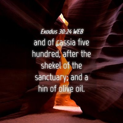 Picture 04 - Exodus 30:24 WEB - and of cassia five hundred, after the shekel of - Bible Verse Picture